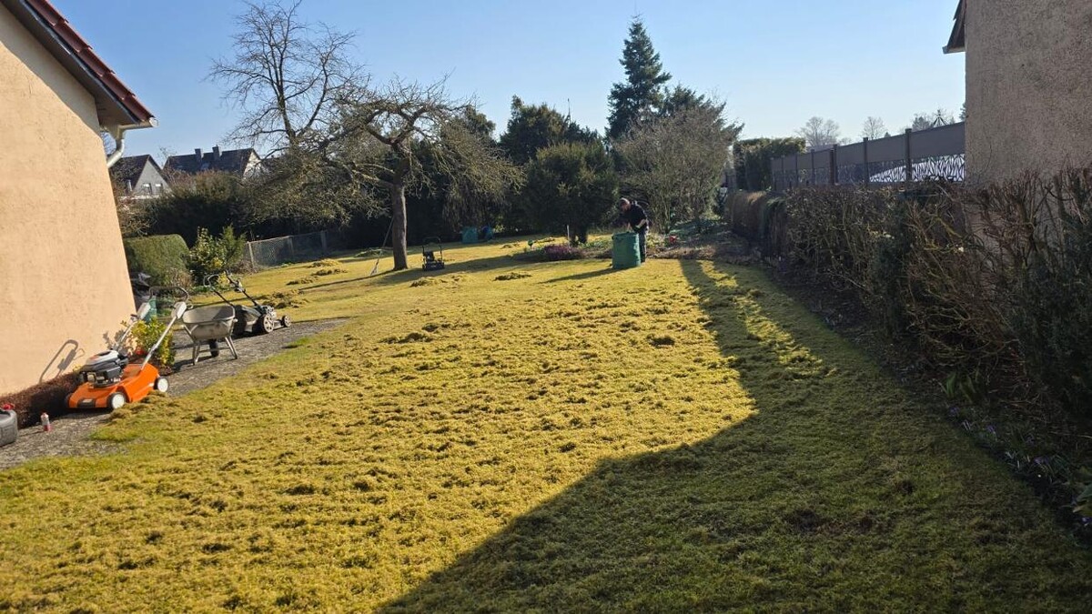 Bilder Jajan Gartenbau