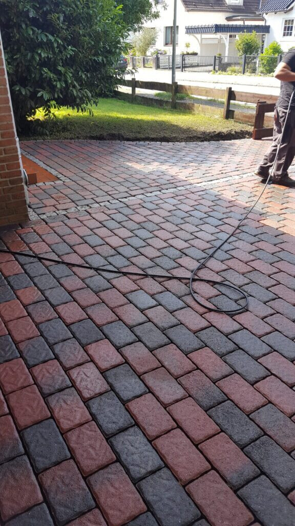 Bilder Super-Clean-Adler