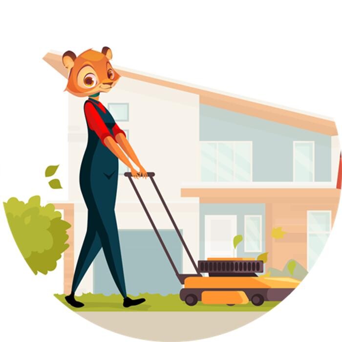 Bilder Rümpel24-Baden | KEPES, Entrümpelungen, Haushaltsauflösungen, Räumungen, Entsorgungen