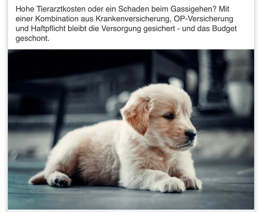 Bilder Baloise - Sascha Müller in Rheine