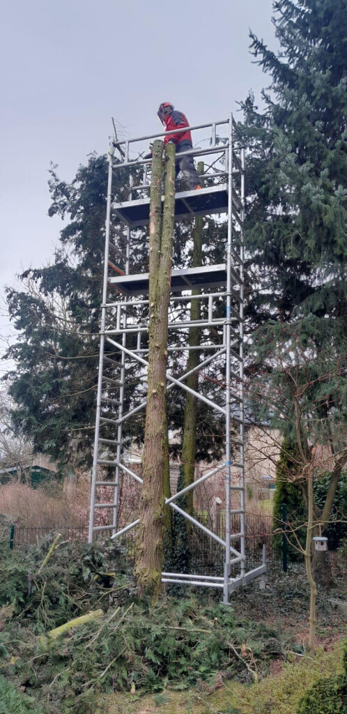 Bilder Hausmeisterservice Meinig