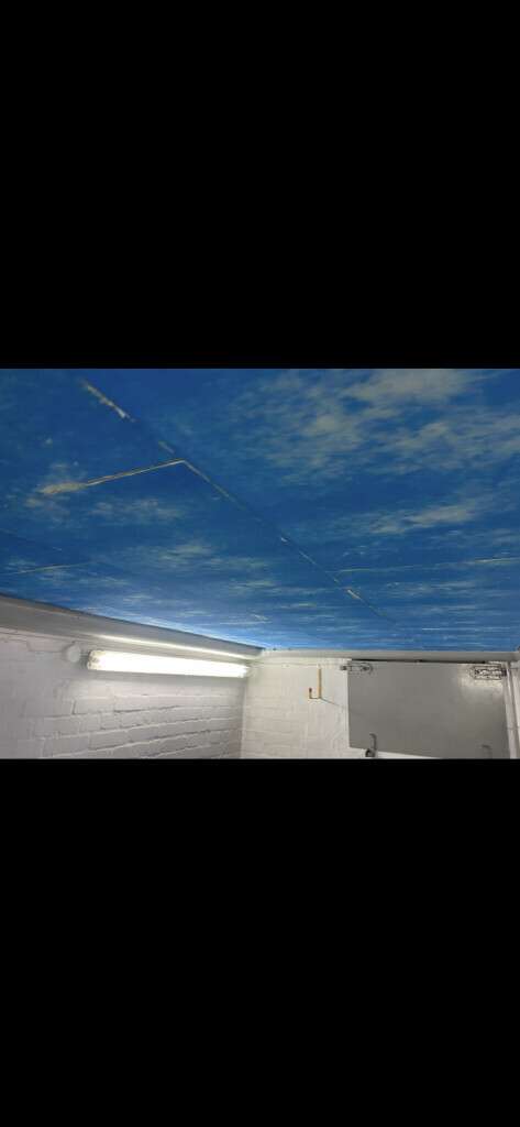 Bilder Exakt Dienstleistungen