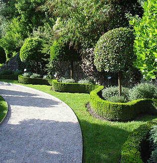 Bilder Baum & Garten LumberLex GmbH