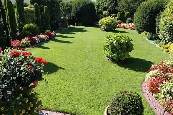 Bilder Baum & Garten LumberLex GmbH