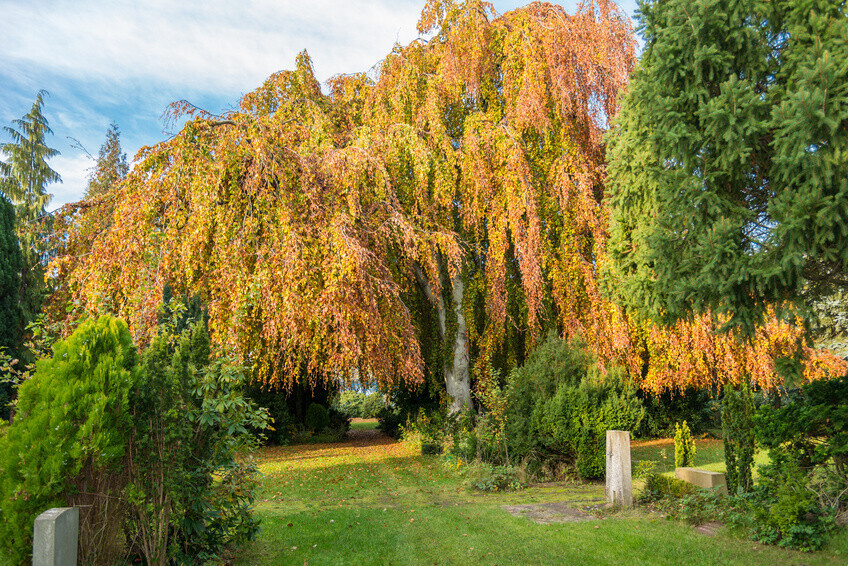 Bilder amb. Kinder- und Erwachsenenintensivpflege Seven Days