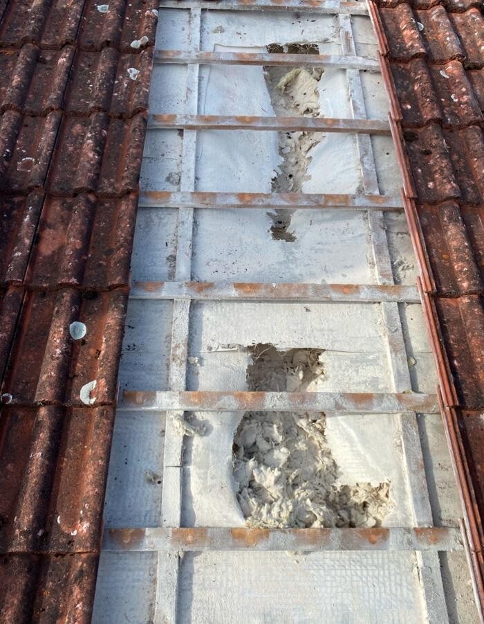 Bilder Marder Solution
