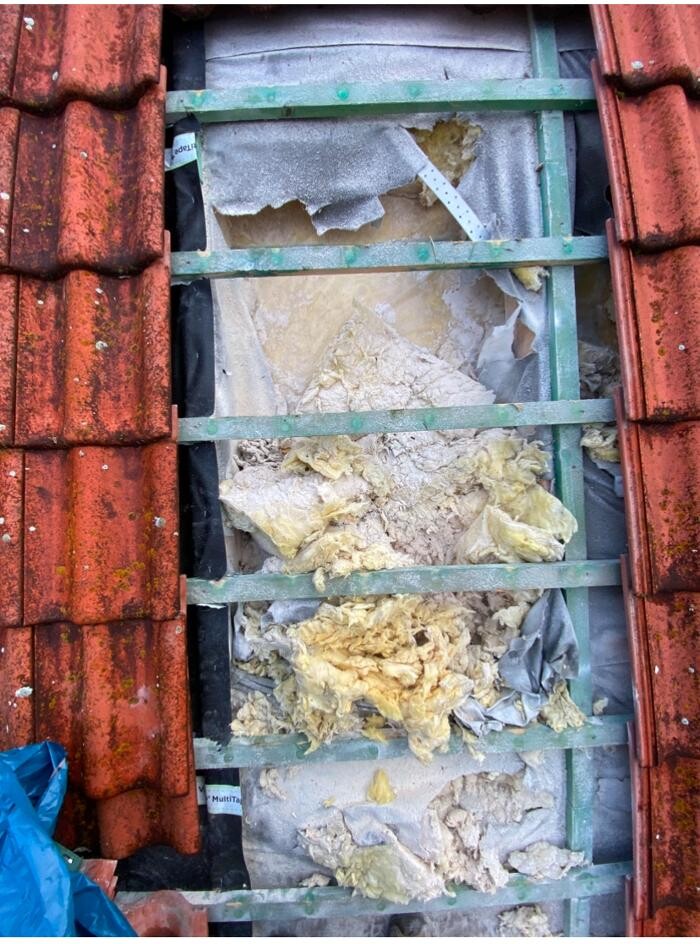 Bilder Marder Solution