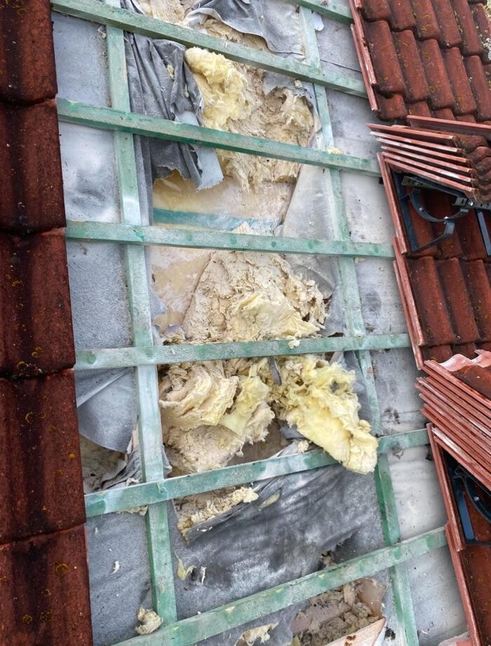 Bilder Marder Solution