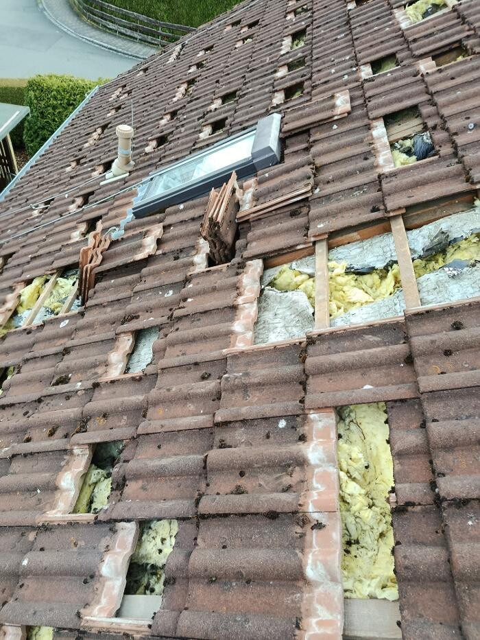 Bilder Marder Solution