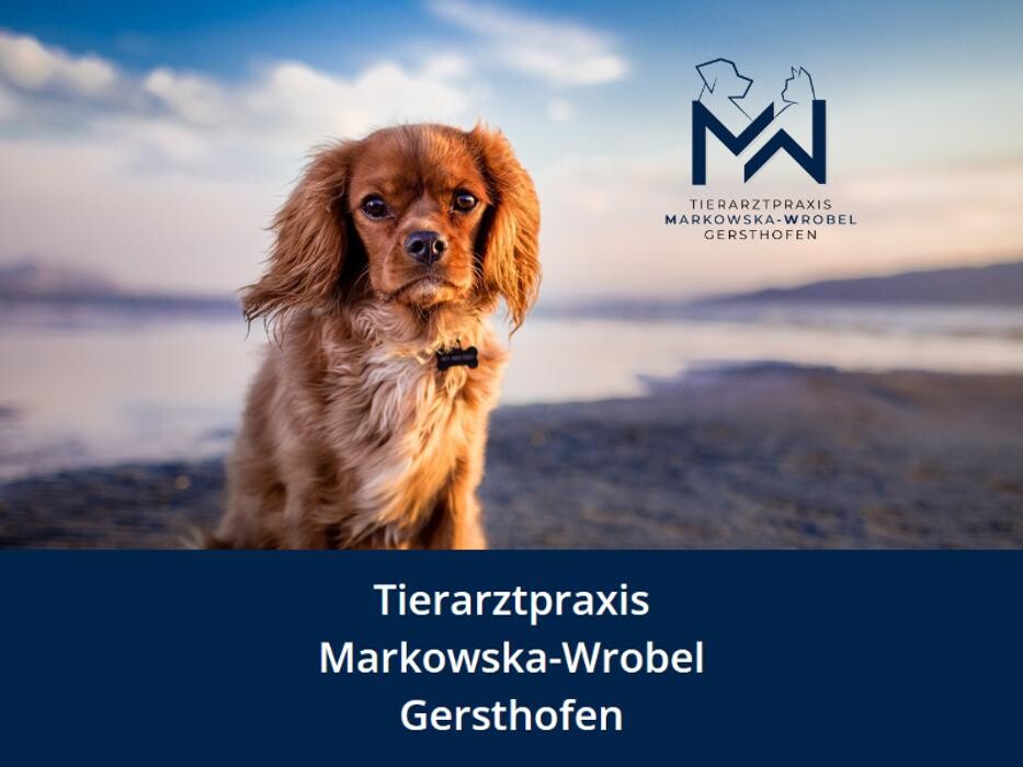 Bilder Tierarztpraxis Markowska-Wrobel Gersthofen