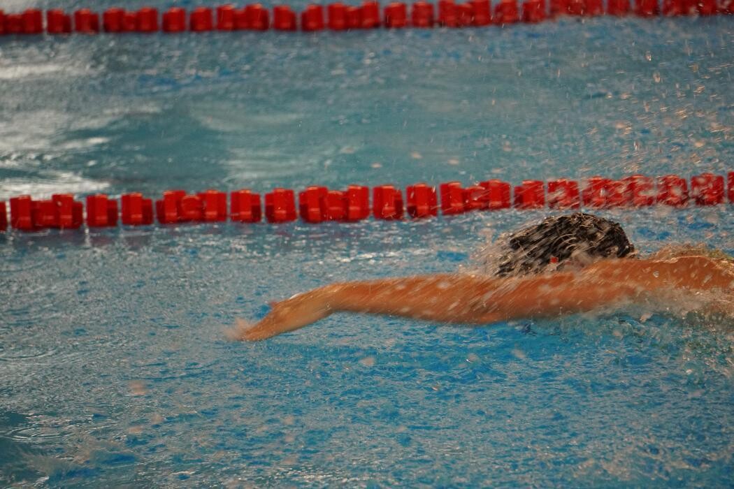 Bilder White Sharks Trier e.V.