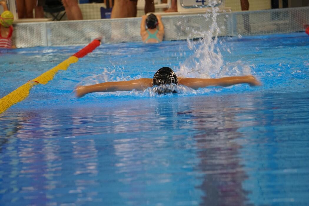 Bilder White Sharks Trier e.V.