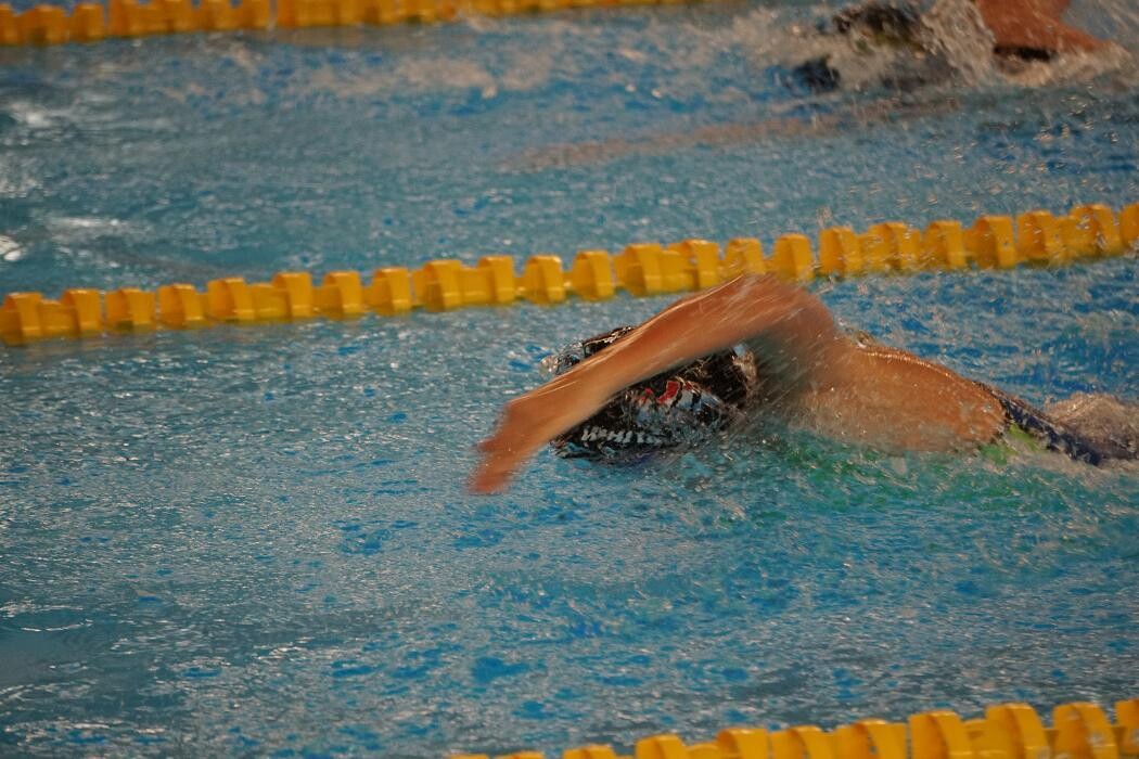 Bilder White Sharks Trier e.V.