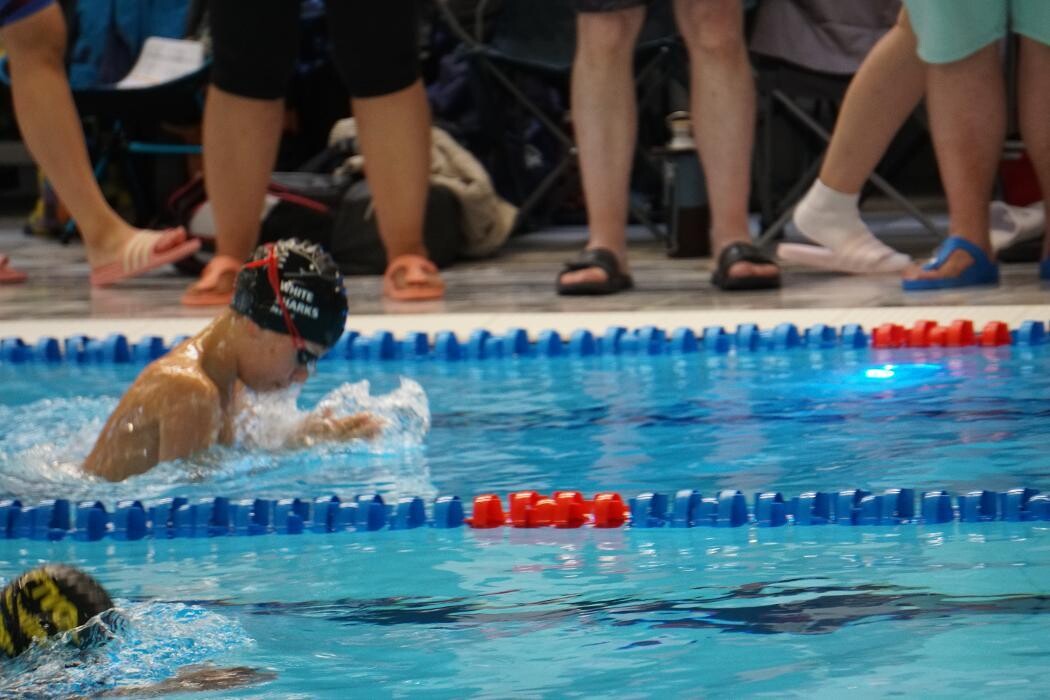 Bilder White Sharks Trier e.V.