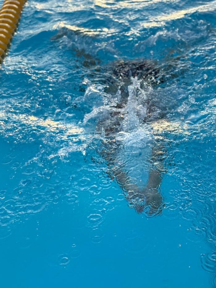 Bilder White Sharks Trier e.V.