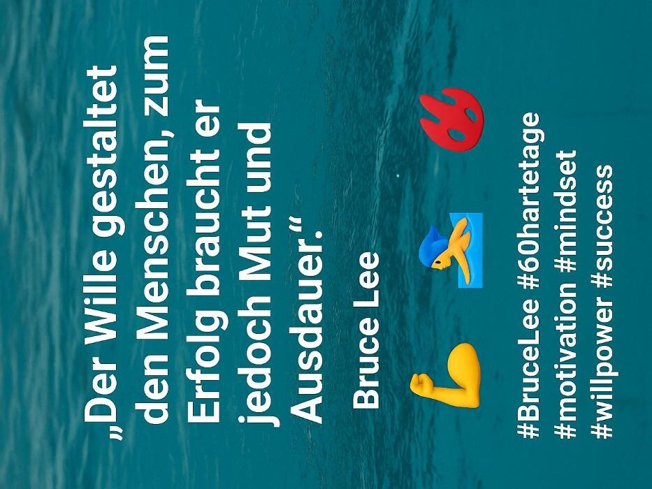 Bilder White Sharks Trier e.V.