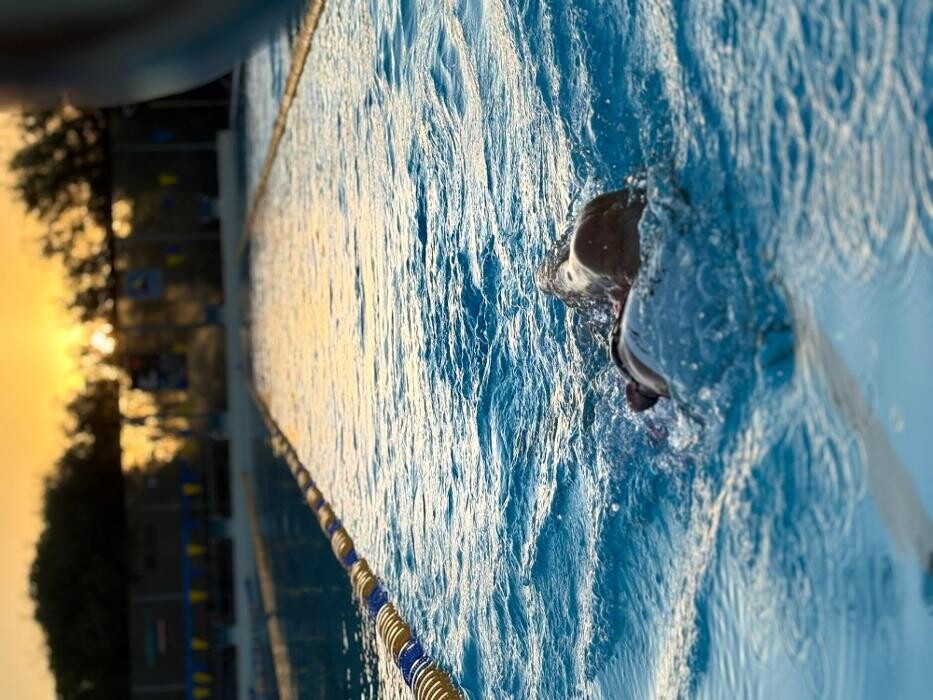 Bilder White Sharks Trier e.V.