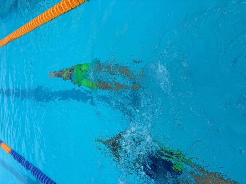 Bilder White Sharks Trier e.V.