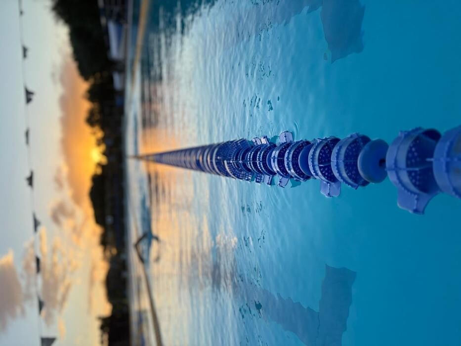 Bilder White Sharks Trier e.V.