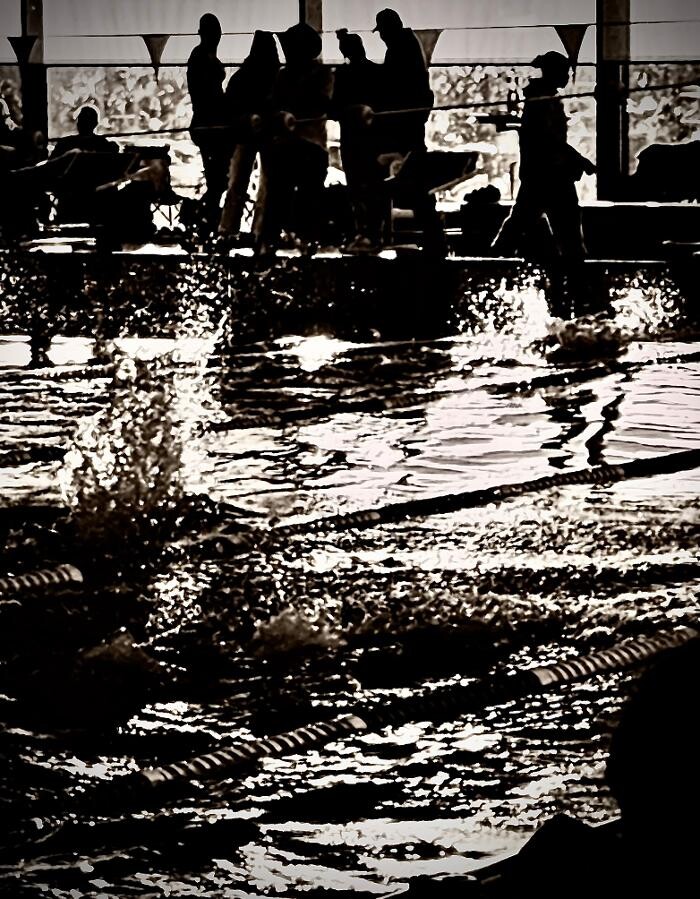 Bilder White Sharks Trier e.V.