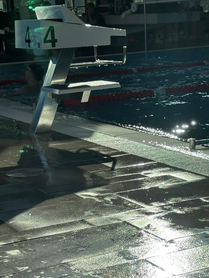 Bilder White Sharks Trier e.V.