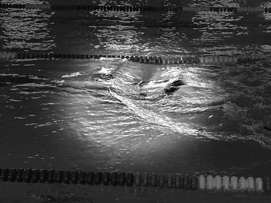 Bilder White Sharks Trier e.V.