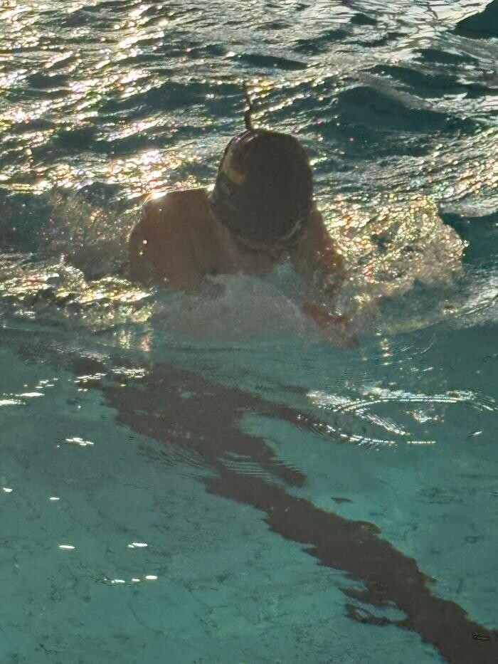 Bilder White Sharks Trier e.V.