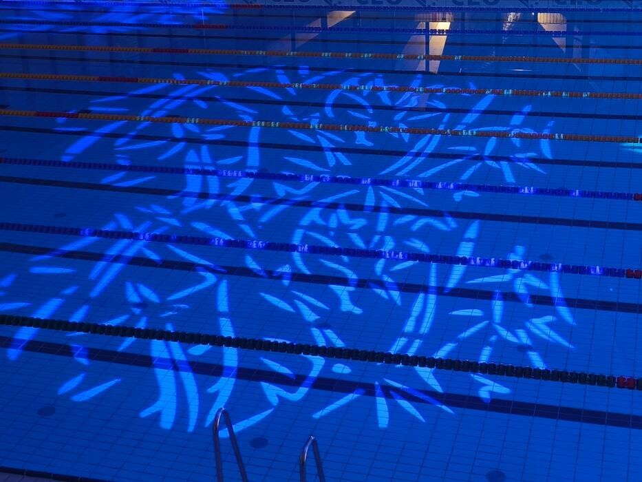 Bilder White Sharks Trier e.V.