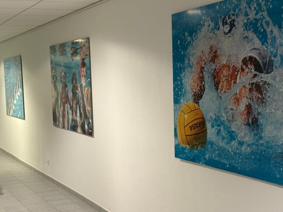 Bilder White Sharks Trier e.V.