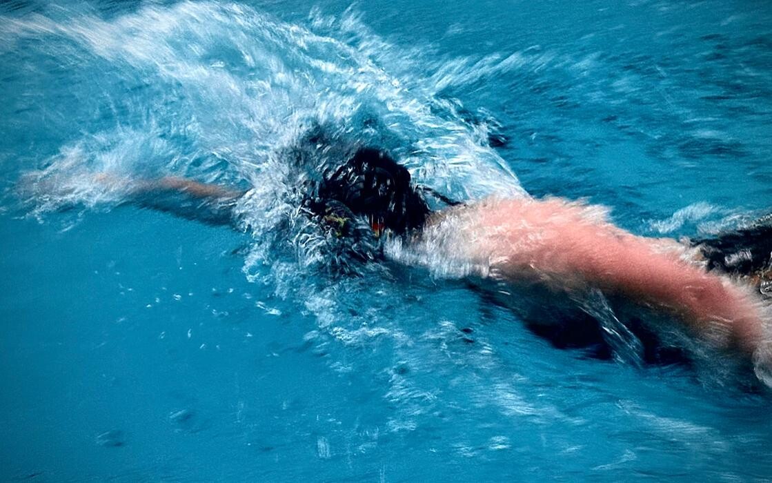 Bilder White Sharks Trier e.V.