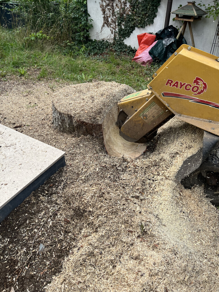 Bilder Baum und Gartenpflege Lukas Pietrzak