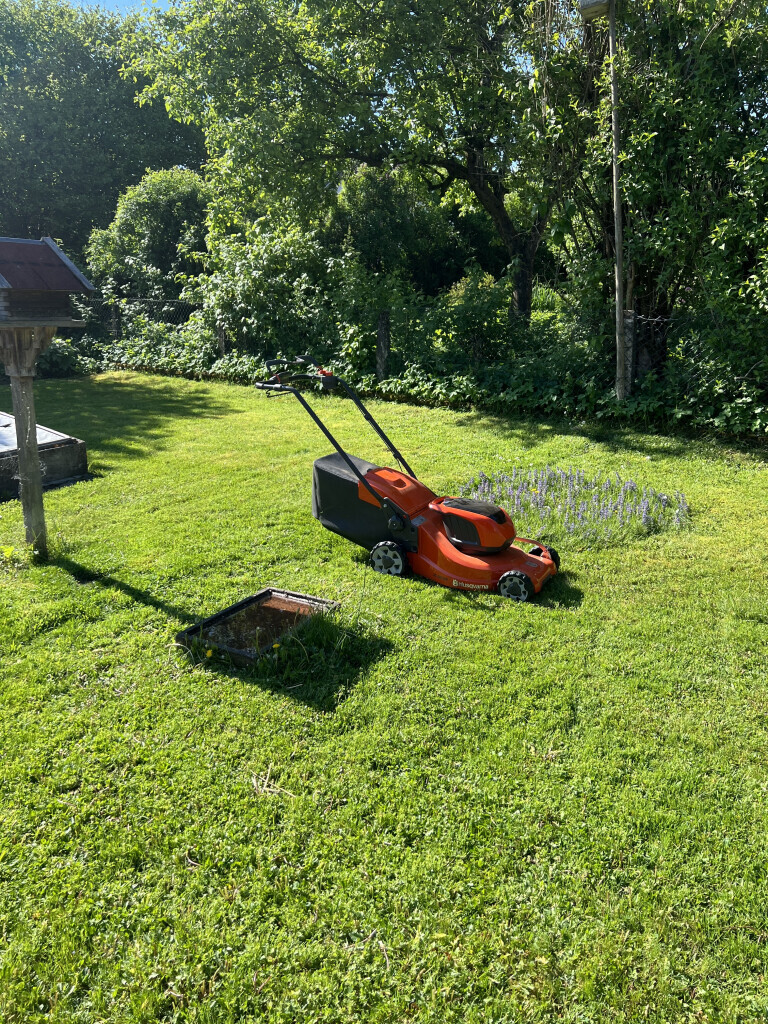 Bilder Baum und Gartenpflege Lukas Pietrzak