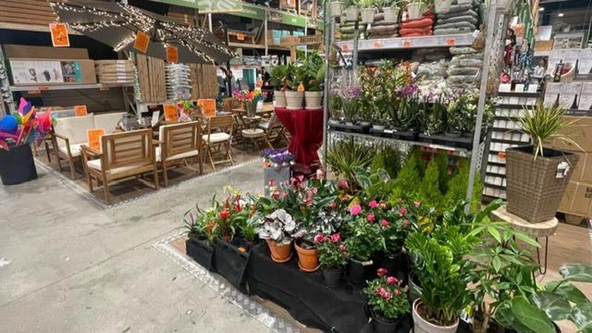 Bilder HORNBACH Gartencenter Koblenz