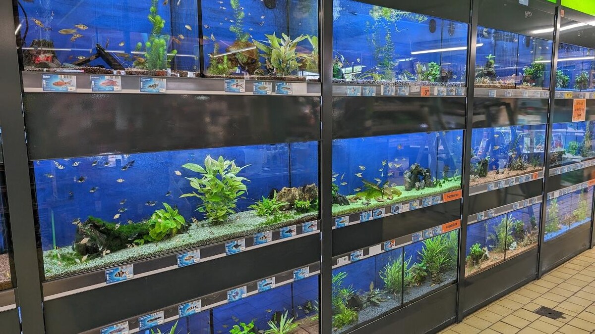Bilder HORNBACH Gartencenter Bamberg