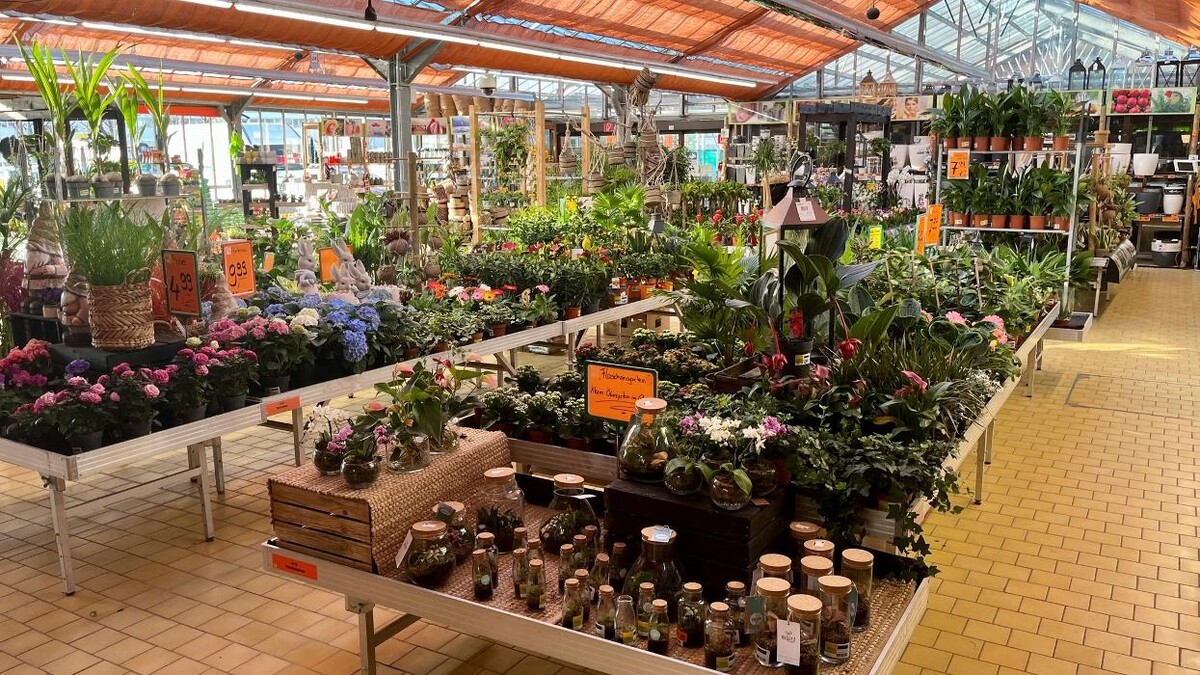 Bilder HORNBACH Gartencenter Bamberg