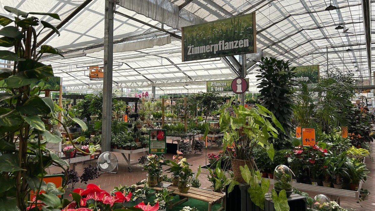 Bilder HORNBACH Gartencenter Chemnitz-Markersdorf