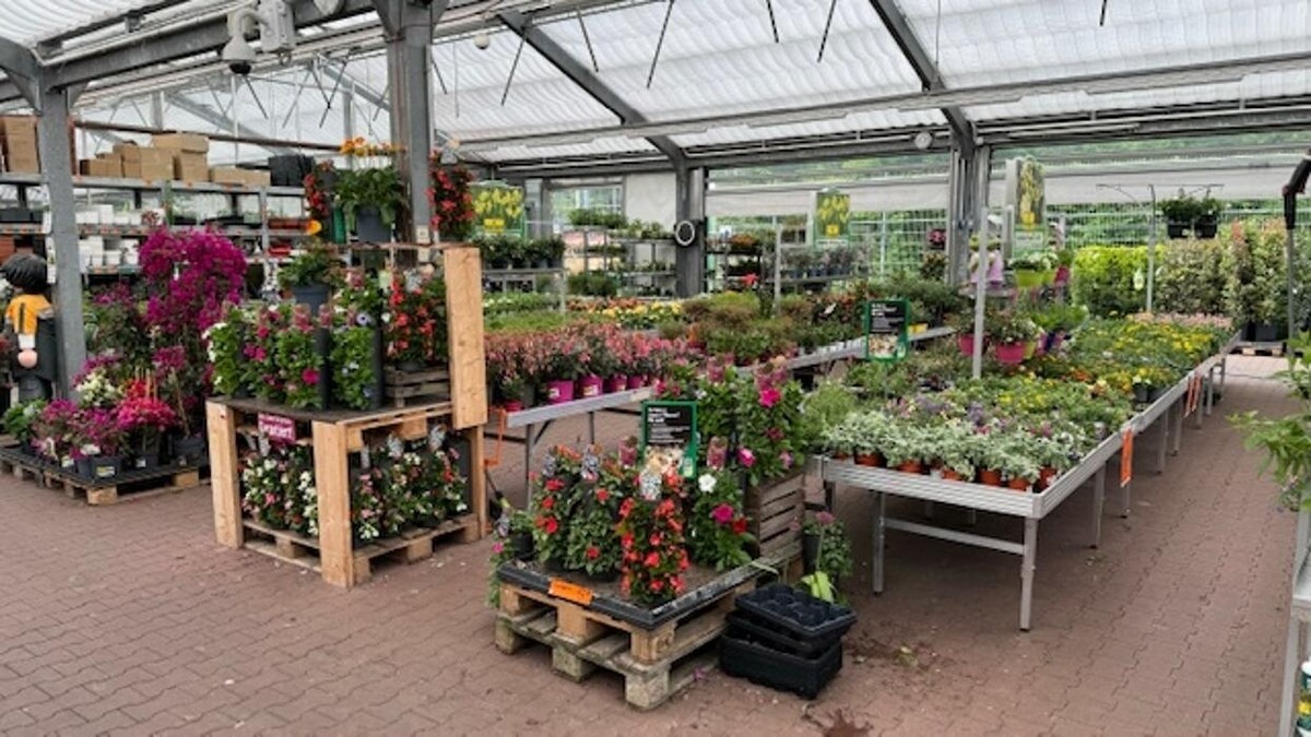 Bilder HORNBACH Gartencenter Magdeburg