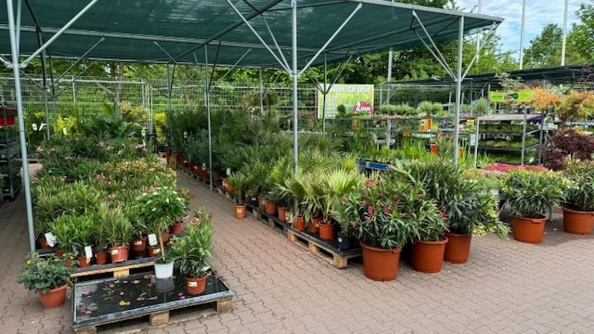 Bilder HORNBACH Gartencenter Magdeburg