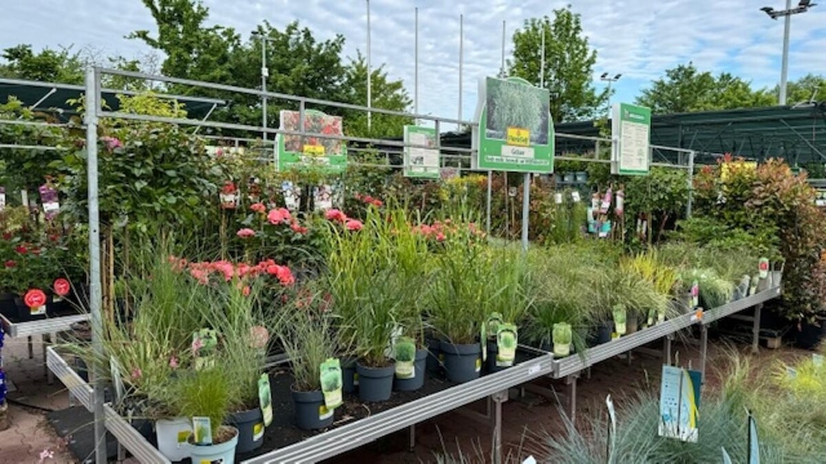 Bilder HORNBACH Gartencenter Magdeburg