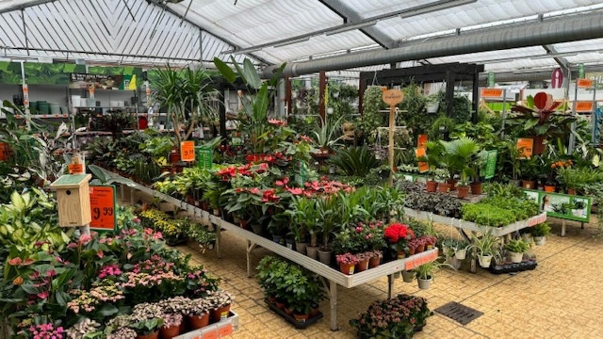 Bilder HORNBACH Gartencenter Magdeburg