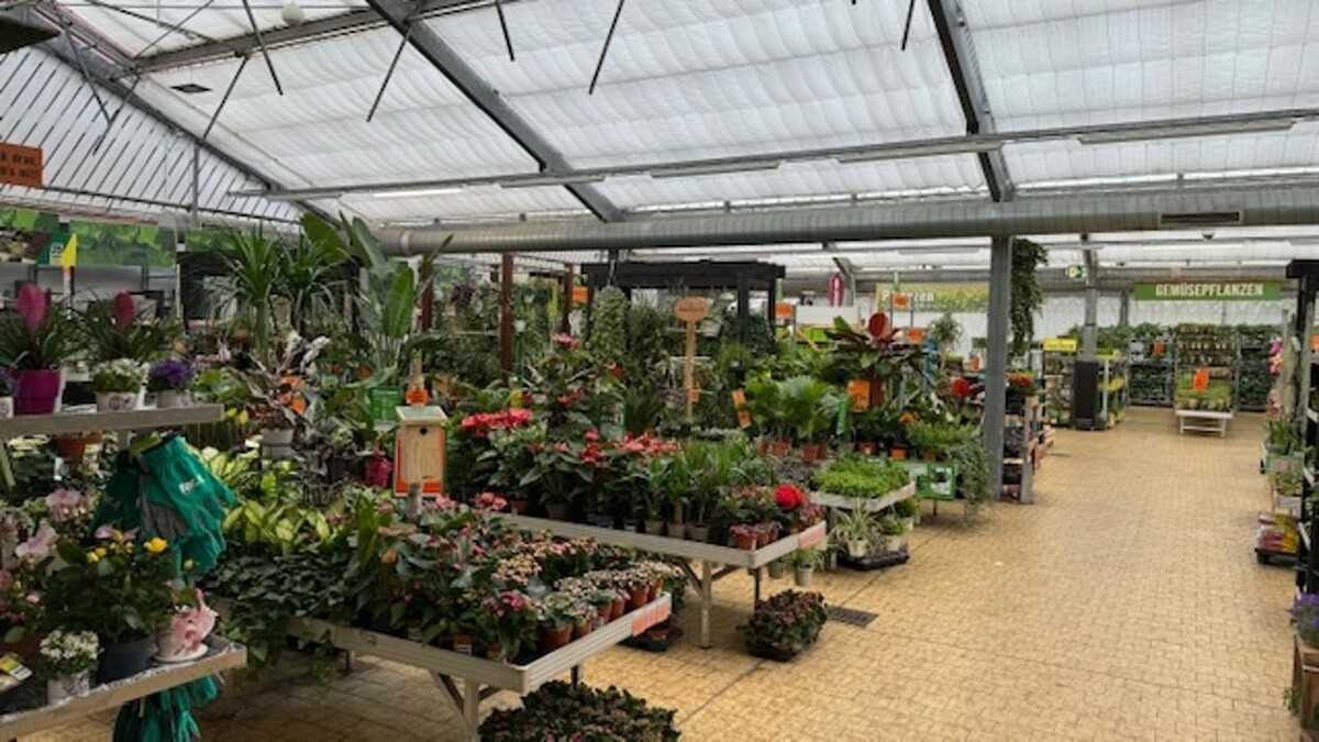 Bilder HORNBACH Gartencenter Magdeburg