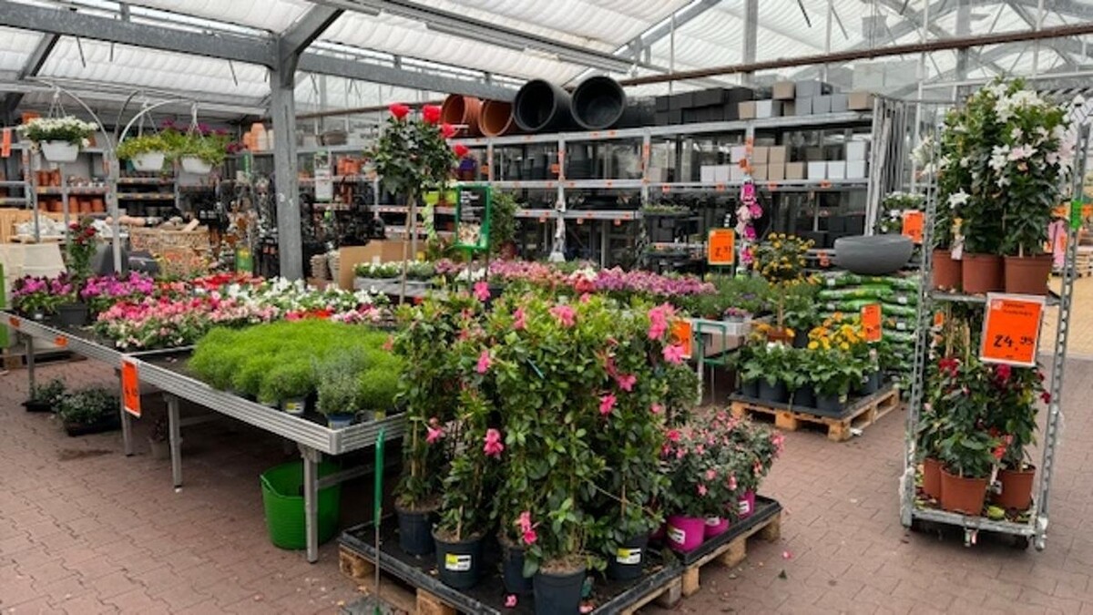 Bilder HORNBACH Gartencenter Magdeburg