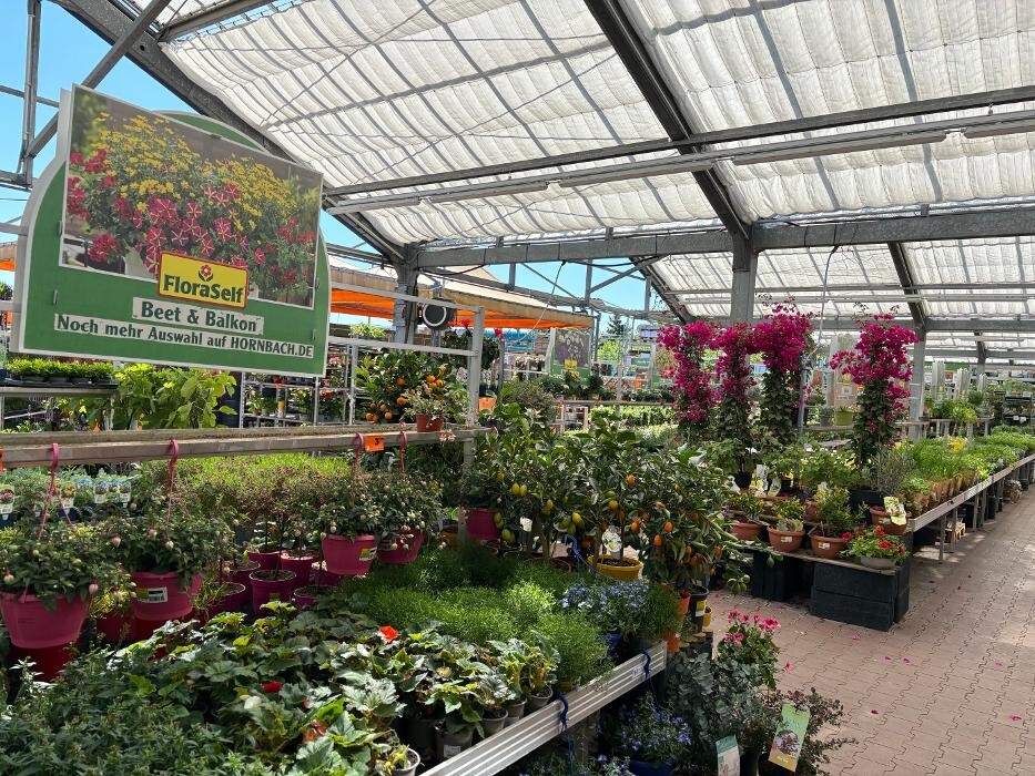 Bilder HORNBACH Gartencenter Jena-Lobeda