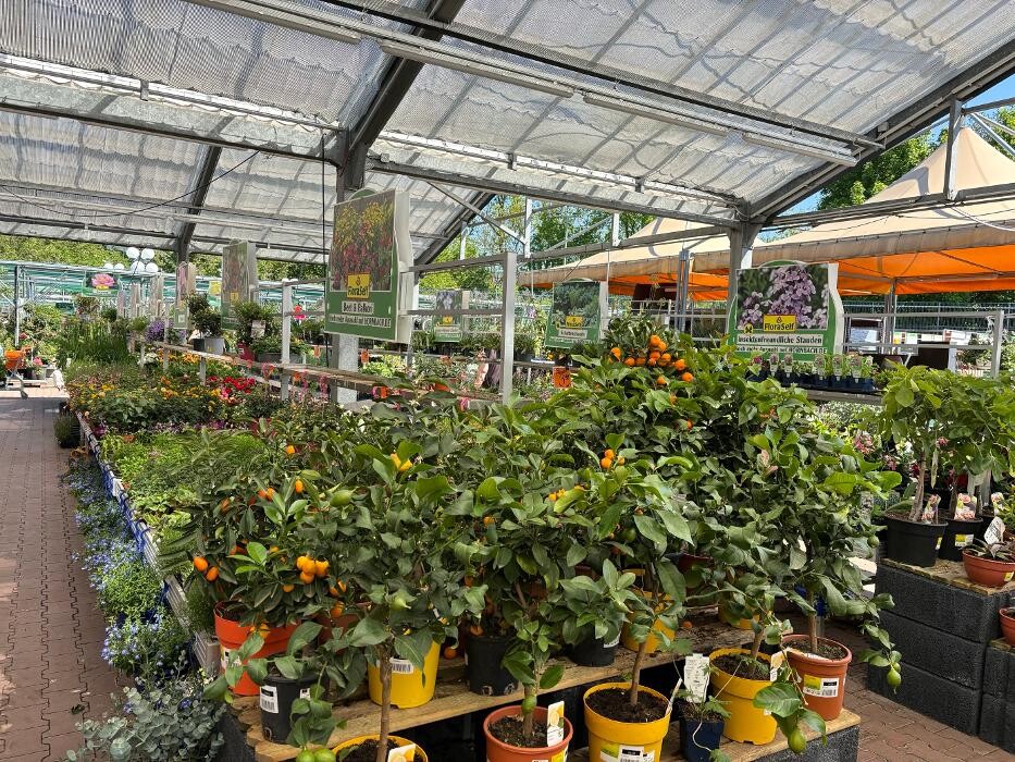 Bilder HORNBACH Gartencenter Jena-Lobeda