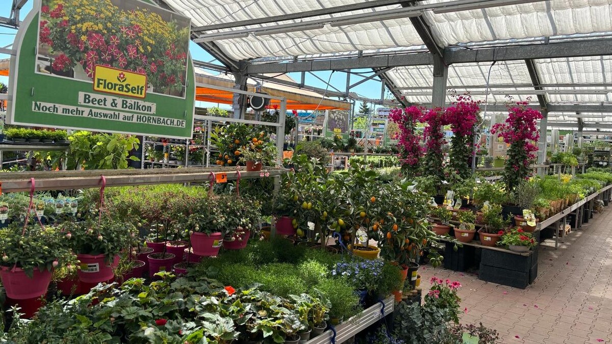 Bilder HORNBACH Gartencenter Jena-Lobeda