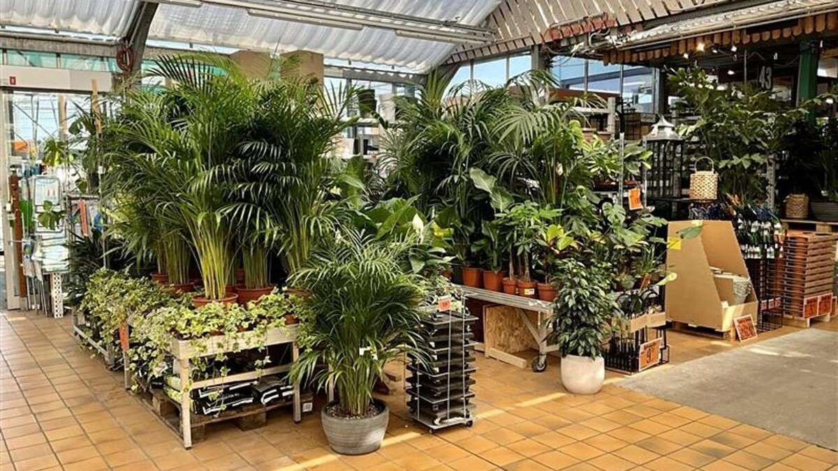 Bilder HORNBACH Gartencenter Potsdam