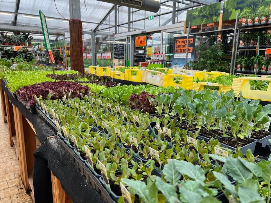 Bilder HORNBACH Gartencenter Görlitz