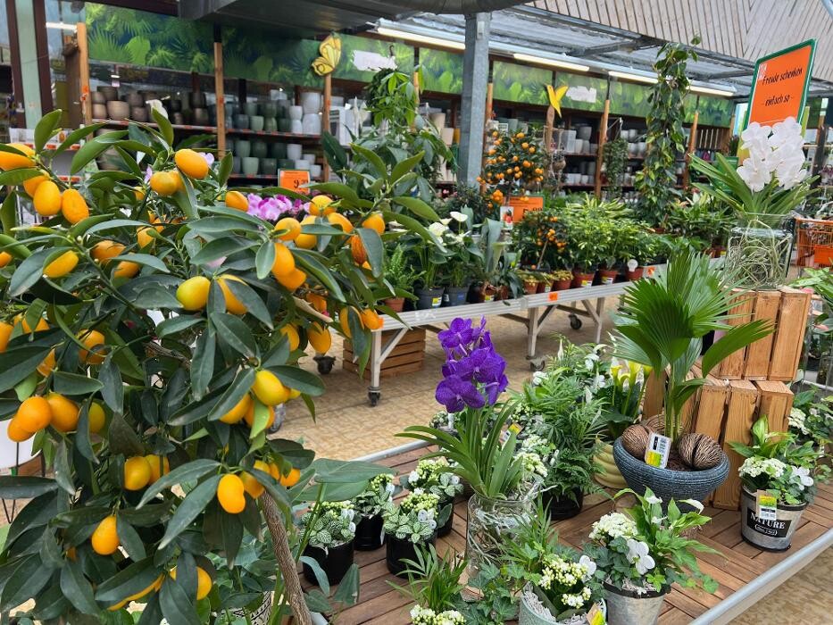 Bilder HORNBACH Gartencenter Görlitz