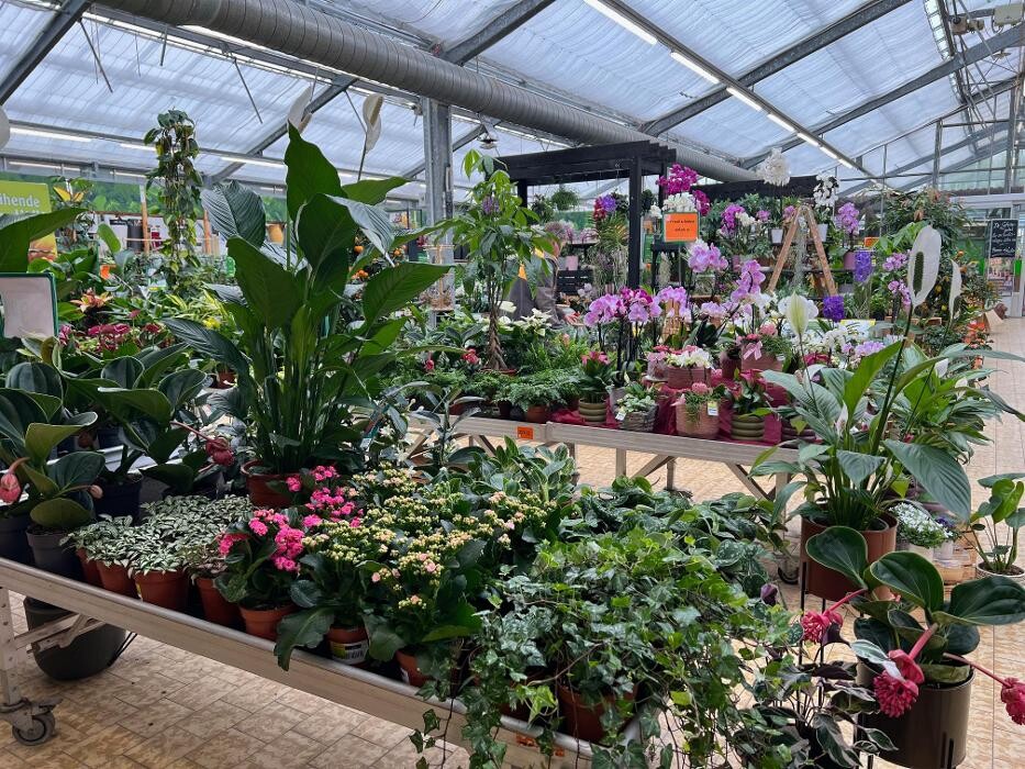 Bilder HORNBACH Gartencenter Görlitz