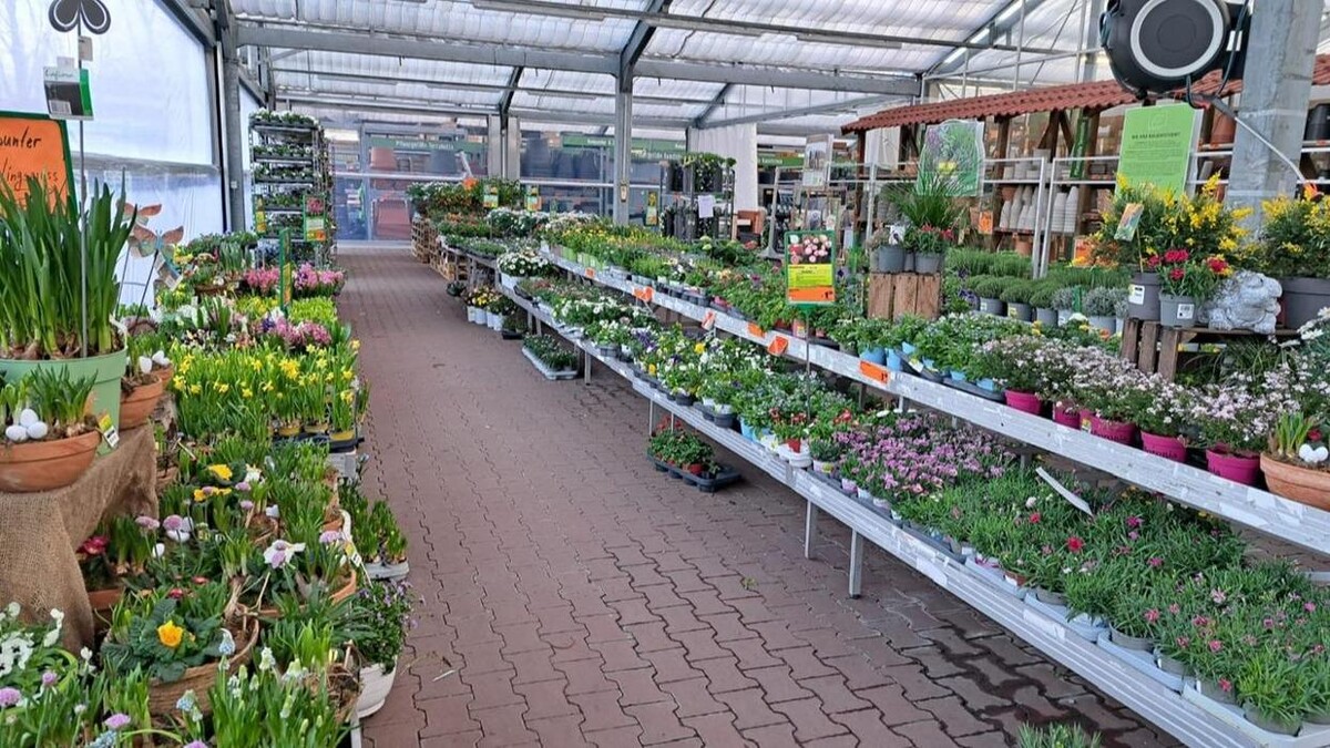 Bilder HORNBACH Gartencenter Görlitz